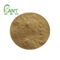 High quality Kombu Seaweed extract powder 99%